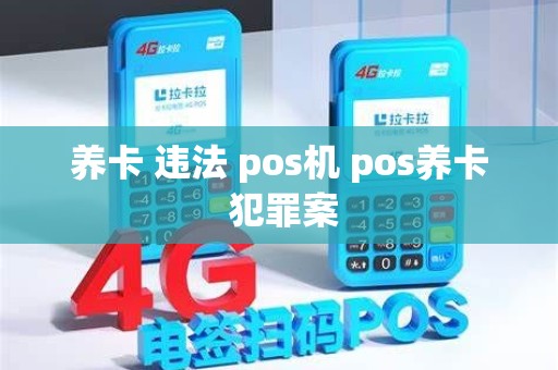 养卡 违法 pos机 pos养卡 犯罪案