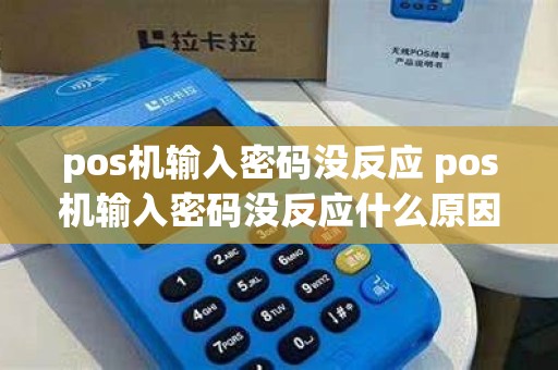 pos机输入密码没反应 pos机输入密码没反应什么原因