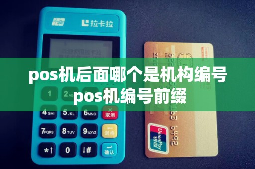 pos机后面哪个是机构编号 pos机编号前缀