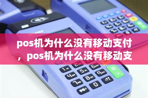 pos机为什么没有移动支付，pos机为什么没有移动支付选项