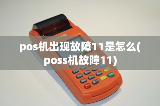 pos机出现故障11是怎么(poss机故障11)