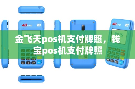 金飞天pos机支付牌照，钱宝pos机支付牌照