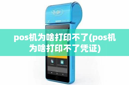 pos机为啥打印不了(pos机为啥打印不了凭证)