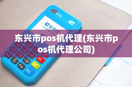东兴市pos机代理(东兴市pos机代理公司)