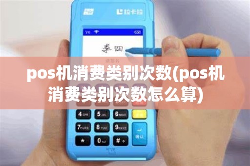 pos机消费类别次数(pos机消费类别次数怎么算)
