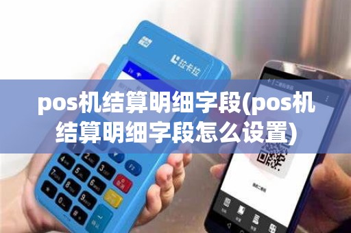 pos机结算明细字段(pos机结算明细字段怎么设置)