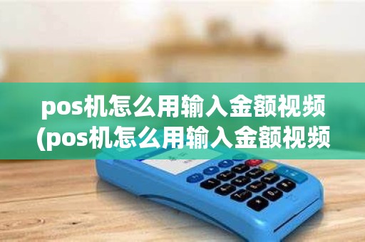 pos机怎么用输入金额视频(pos机怎么用输入金额视频操作)