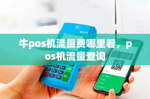 牛pos机流量费哪里看，pos机流量查询