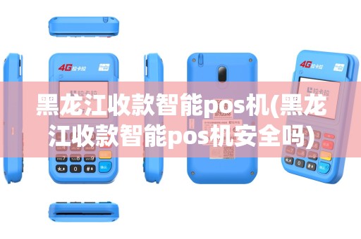 黑龙江收款智能pos机(黑龙江收款智能pos机安全吗)