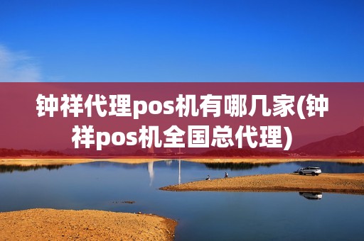钟祥代理pos机有哪几家(钟祥pos机全国总代理)