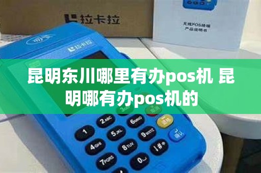 昆明东川哪里有办pos机 昆明哪有办pos机的