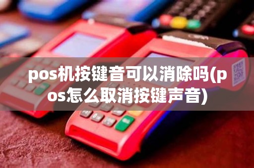 pos机按键音可以消除吗(pos怎么取消按键声音)