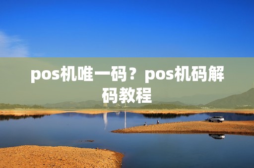 pos机唯一码？pos机码解码教程