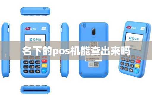 名下的pos机能查出来吗
