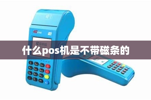 什么pos机是不带磁条的