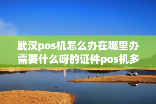 武汉pos机怎么办在哪里办需要什么呀的证件pos机多少钱