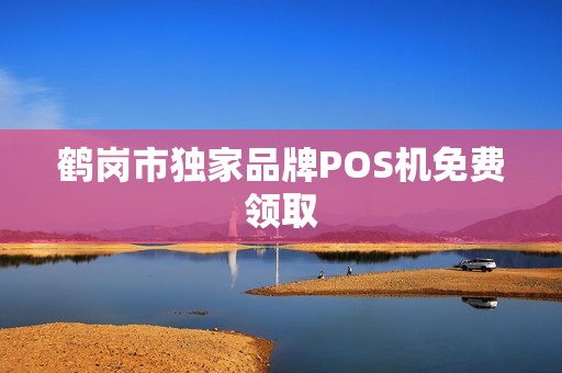 鹤岗市独家品牌POS机免费领取