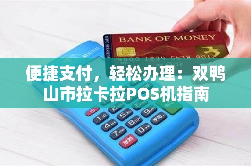 便捷支付，轻松办理：双鸭山市拉卡拉POS机指南
