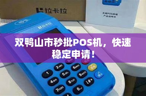 双鸭山市秒批POS机，快速稳定申请！