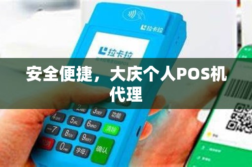 安全便捷，大庆个人POS机代理
