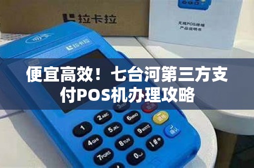 便宜高效！七台河第三方支付POS机办理攻略