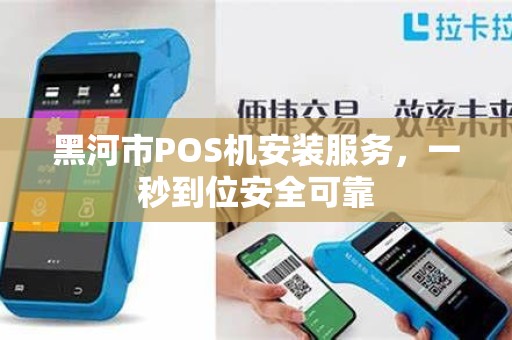 黑河市POS机安装服务，一秒到位安全可靠
