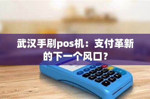 武汉手刷pos机：支付革新的下一个风口？