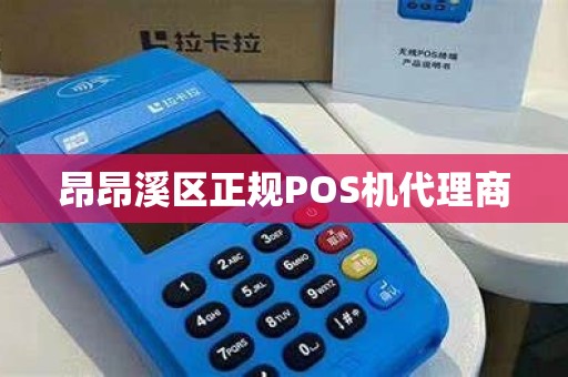 昂昂溪区正规POS机代理商