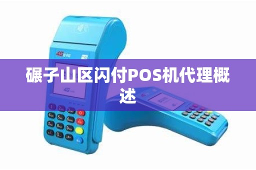碾子山区闪付POS机代理概述