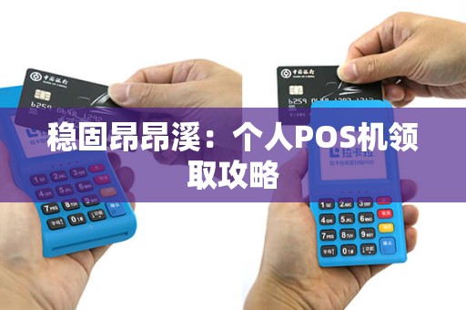 稳固昂昂溪：个人POS机领取攻略
