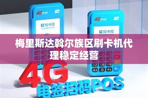梅里斯达斡尔族区刷卡机代理稳定经营