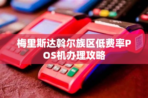 梅里斯达斡尔族区低费率POS机办理攻略