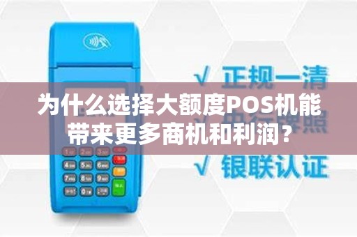 为什么选择大额度POS机能带来更多商机和利润？