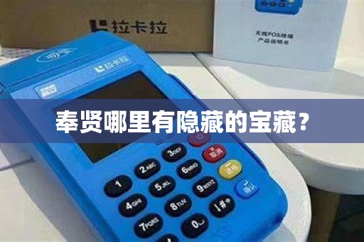 奉贤哪里有隐藏的宝藏？