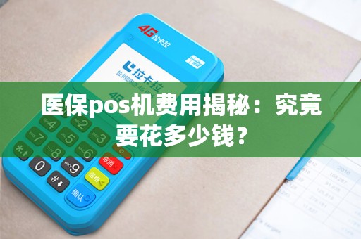 医保pos机费用揭秘：究竟要花多少钱？