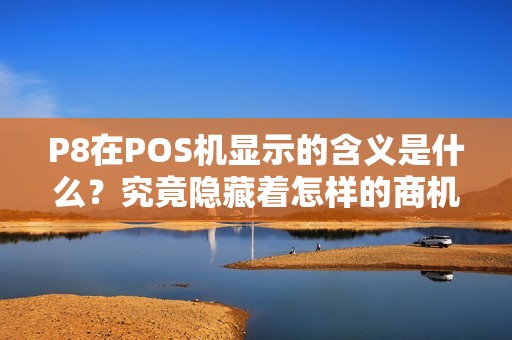 P8在POS机显示的含义是什么？究竟隐藏着怎样的商机？