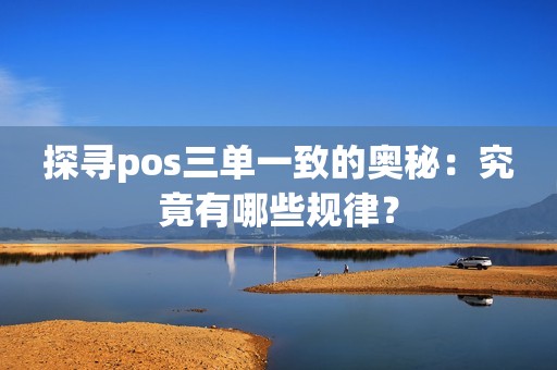 探寻pos三单一致的奥秘：究竟有哪些规律？