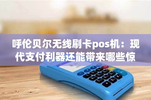 呼伦贝尔无线刷卡pos机：现代支付利器还能带来哪些惊喜？