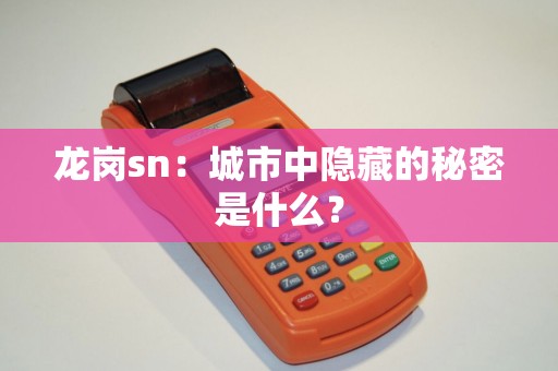 龙岗sn：城市中隐藏的秘密是什么？