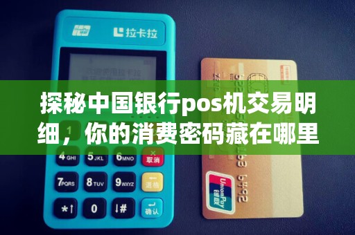 探秘中国银行pos机交易明细，你的消费密码藏在哪里？