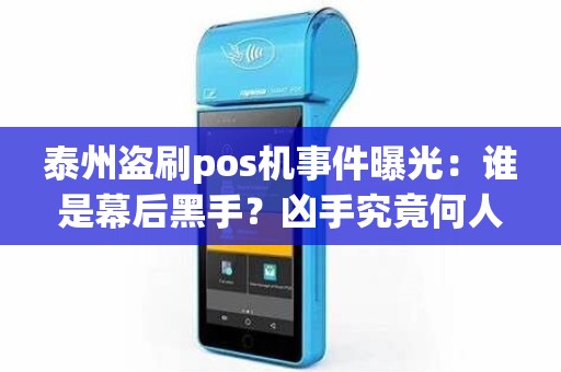 泰州盗刷pos机事件曝光：谁是幕后黑手？凶手究竟何人？