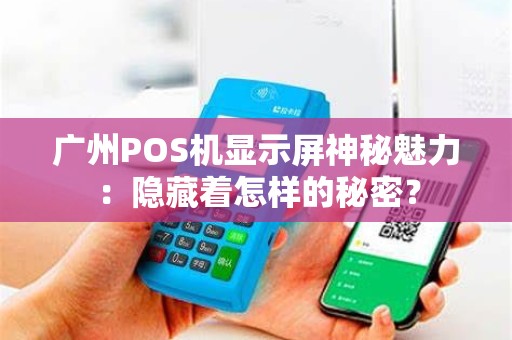 广州POS机显示屏神秘魅力：隐藏着怎样的秘密？