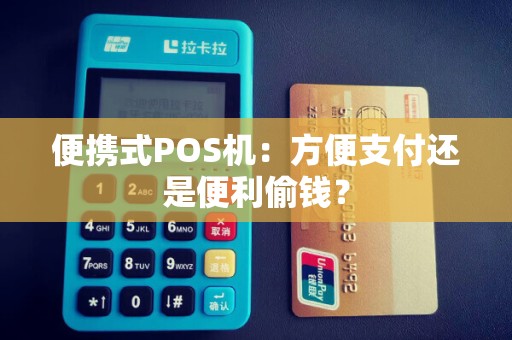 便携式POS机：方便支付还是便利偷钱？