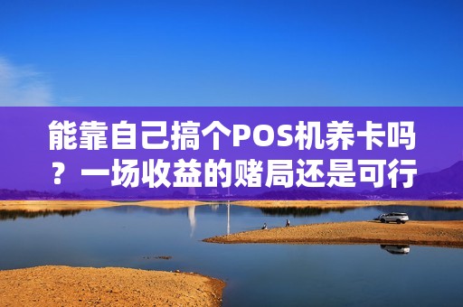 能靠自己搞个POS机养卡吗？一场收益的赌局还是可行的投资计划？