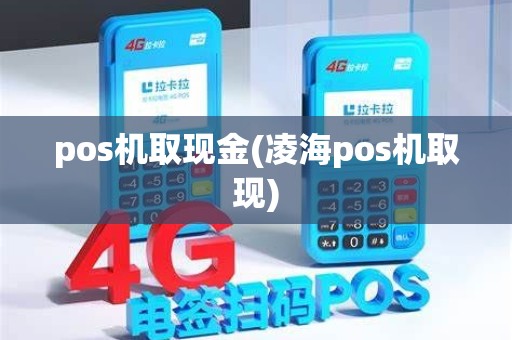 pos机取现金(凌海pos机取现)