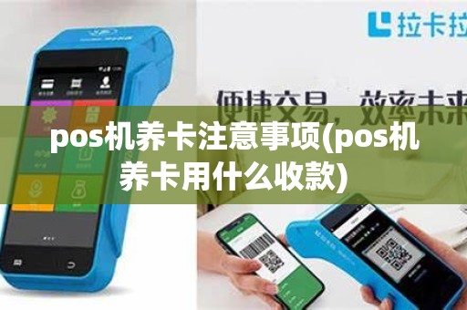 pos机养卡注意事项(pos机养卡用什么收款) pos机养卡注意事项(pos机养卡用什么收款)