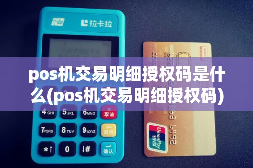 pos机交易明细授权码是什么(pos机交易明细授权码)
