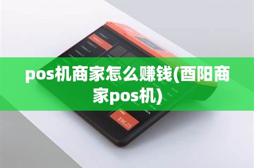 pos机商家怎么赚钱(酉阳商家pos机)