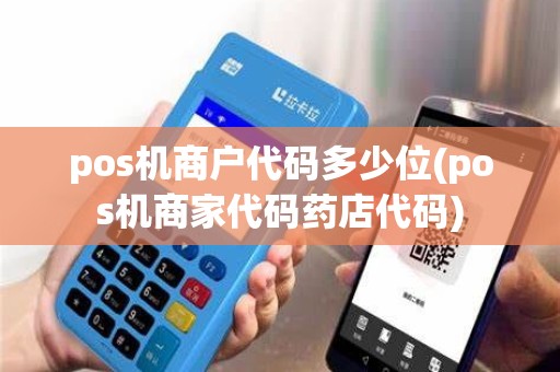 pos机商户代码多少位(pos机商家代码药店代码)