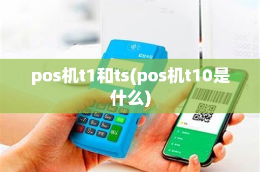 pos机t1和ts(pos机t10是什么)